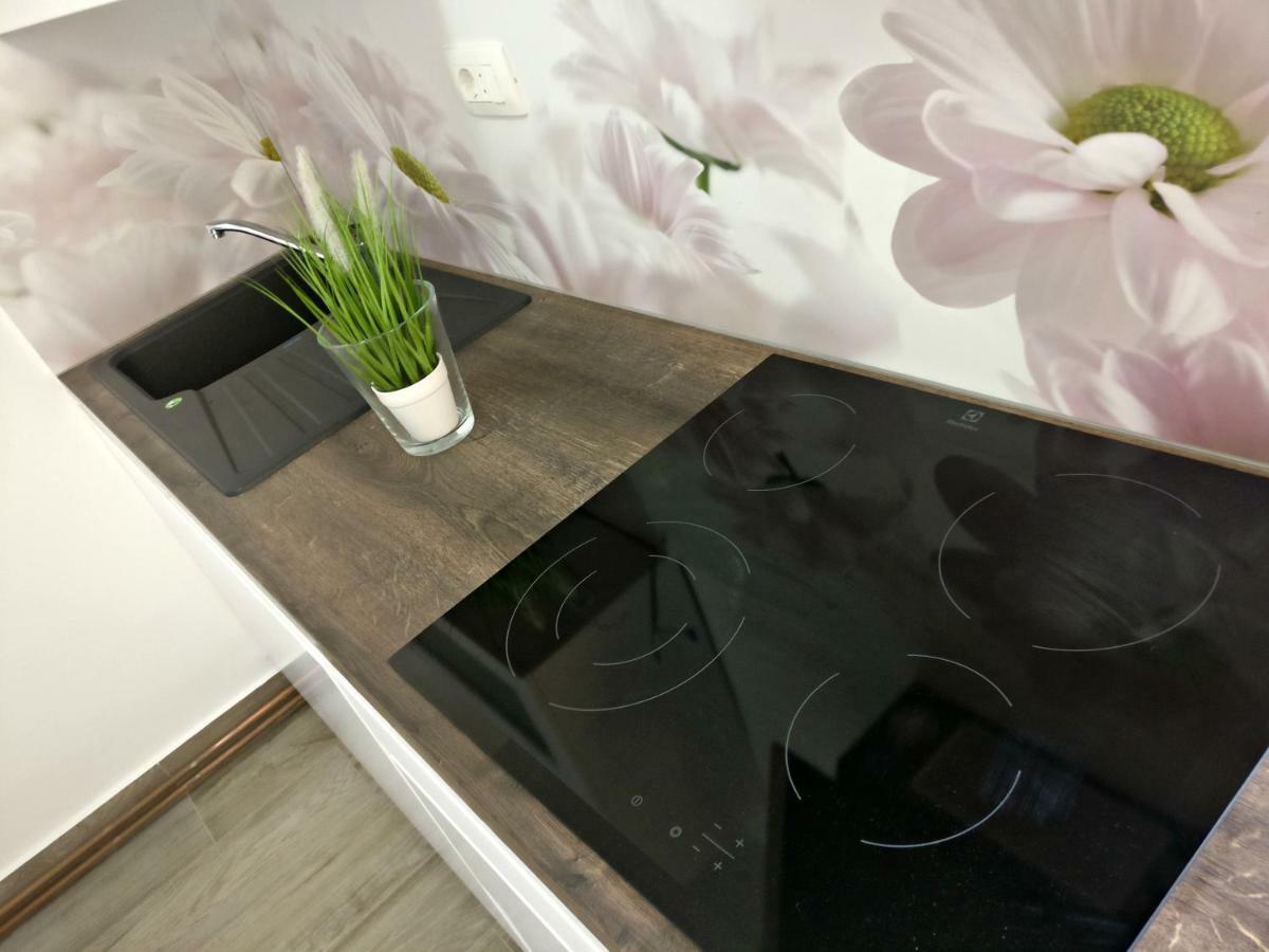 Apartments Vila Dk Malinska Extérieur photo